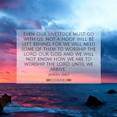 Picture 07 - Exodus 10:26 BSB - Even our livestock must go with us; not a hoof - Bible Verse Picture