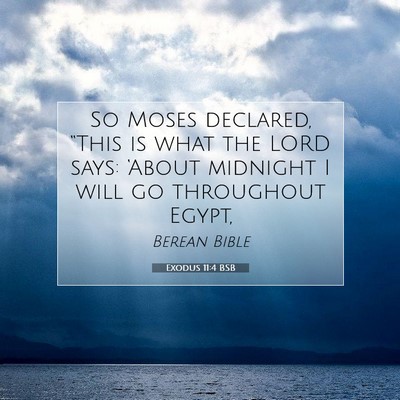 Picture 07 - Exodus 11:4 BSB - So Moses declared, “This is what the LORD says: - Bible Verse Picture
