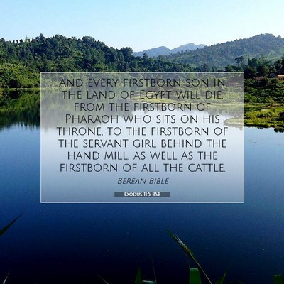 Picture 07 - Exodus 11:5 BSB - and every firstborn son in the land of Egypt will - Bible Verse Picture
