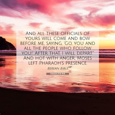 Picture 07 - Exodus 11:8 BSB - And all these officials of yours will come and - Bible Verse Picture