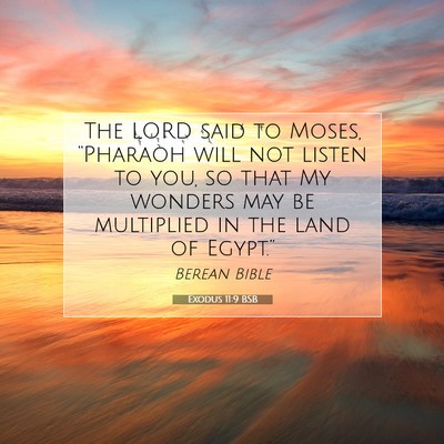 Picture 07 - Exodus 11:9 BSB - The LORD said to Moses, “Pharaoh will not - Bible Verse Picture
