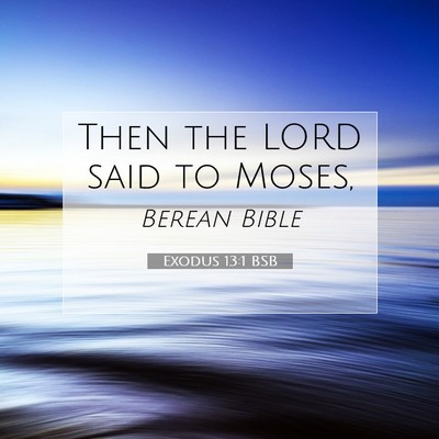 Picture 07 - Exodus 13:1 BSB - Then the LORD said to - Bible Verse Picture