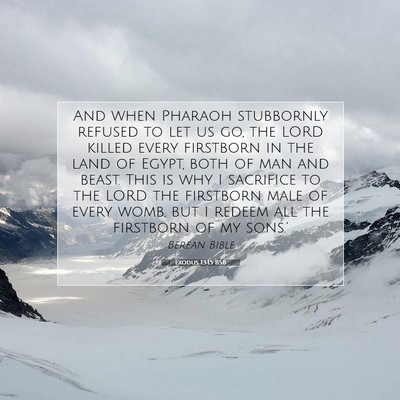 Picture 07 - Exodus 13:15 BSB - And when Pharaoh stubbornly refused to let us go, - Bible Verse Picture