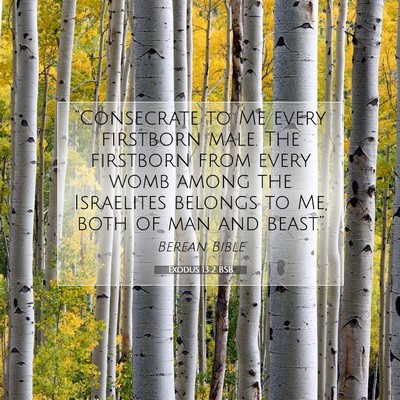 Picture 07 - Exodus 13:2 BSB - “Consecrate to Me every firstborn male. The - Bible Verse Picture