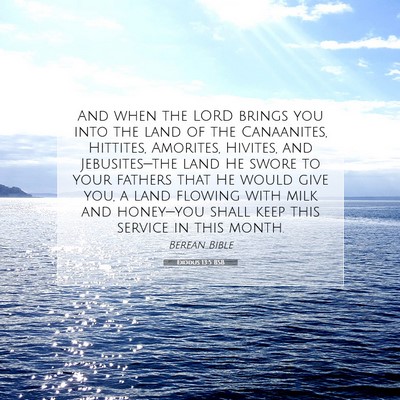 Picture 07 - Exodus 13:5 BSB - And when the LORD brings you into the land of the - Bible Verse Picture