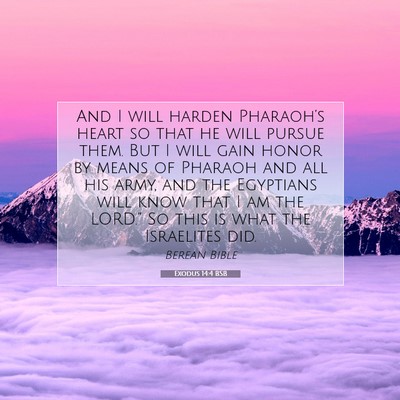 Picture 07 - Exodus 14:4 BSB - And I will harden Pharaoh’s heart so that he - Bible Verse Picture