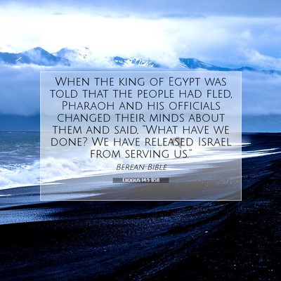 Picture 07 - Exodus 14:5 BSB - When the king of Egypt was told that the people - Bible Verse Picture