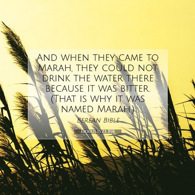 Picture 07 - Exodus 15:23 BSB - And when they came to Marah, they could not drink - Bible Verse Picture