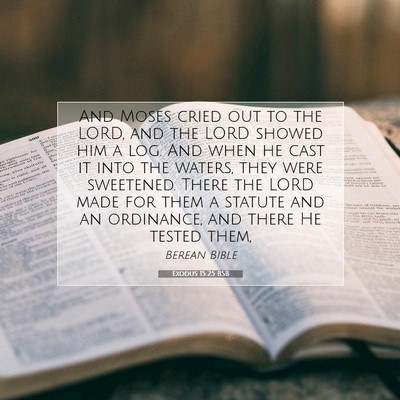 Picture 07 - Exodus 15:25 BSB - And Moses cried out to the LORD, and the LORD - Bible Verse Picture