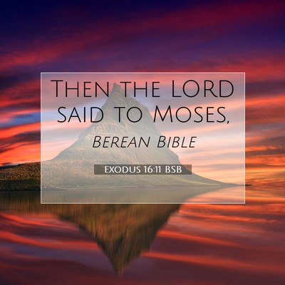 Picture 07 - Exodus 16:11 BSB - Then the LORD said to - Bible Verse Picture