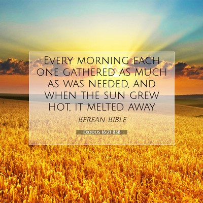 Picture 07 - Exodus 16:21 BSB - Every morning each one gathered as much as was - Bible Verse Picture