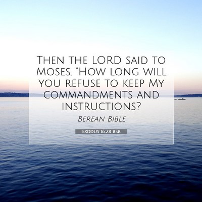 Picture 07 - Exodus 16:28 BSB - Then the LORD said to Moses, “How long will you - Bible Verse Picture