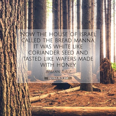 Picture 07 - Exodus 16:31 BSB - Now the house of Israel called the bread manna. - Bible Verse Picture