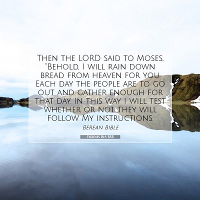 Picture 07 - Exodus 16:4 BSB - Then the LORD said to Moses, “Behold, I will - Bible Verse Picture