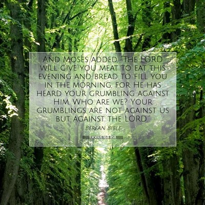 Picture 07 - Exodus 16:8 BSB - And Moses added, “The LORD will give you meat - Bible Verse Picture