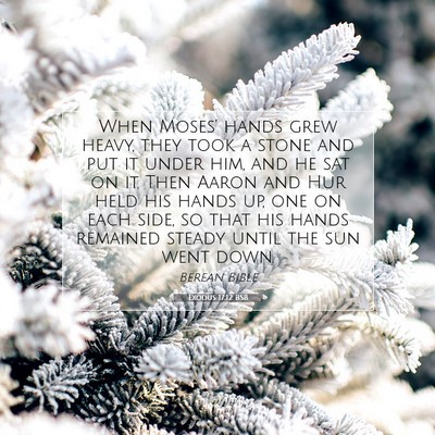 Picture 07 - Exodus 17:12 BSB - When Moses’ hands grew heavy, they took a stone - Bible Verse Picture