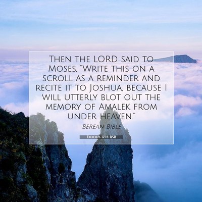 Picture 07 - Exodus 17:14 BSB - Then the LORD said to Moses, “Write this on a - Bible Verse Picture