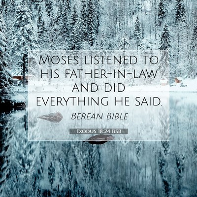 Picture 07 - Exodus 18:24 BSB - Moses listened to his father-in-law and did - Bible Verse Picture