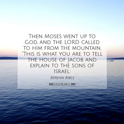 Picture 07 - Exodus 19:3 BSB - Then Moses went up to God, and the LORD called to - Bible Verse Picture