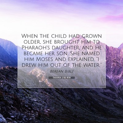 Picture 07 - Exodus 2:10 BSB - When the child had grown older, she brought him - Bible Verse Picture