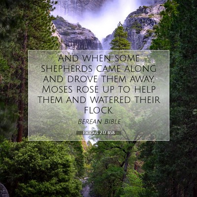 Picture 07 - Exodus 2:17 BSB - And when some shepherds came along and drove them - Bible Verse Picture