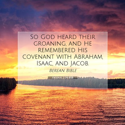 Picture 07 - Exodus 2:24 BSB - So God heard their groaning, and He remembered - Bible Verse Picture