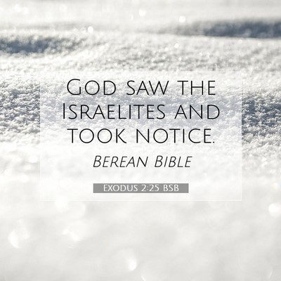 Picture 07 - Exodus 2:25 BSB - God saw the Israelites and took - Bible Verse Picture