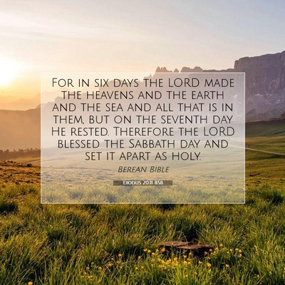 Picture 07 - Exodus 20:11 BSB - For in six days the LORD made the heavens and the - Bible Verse Picture
