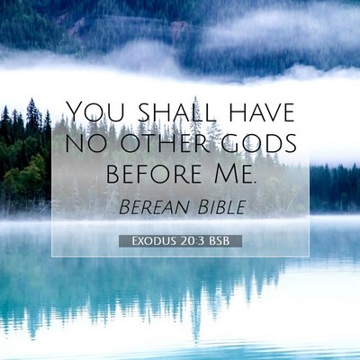 Picture 07 - Exodus 20:3 BSB - You shall have no other gods before - Bible Verse Picture