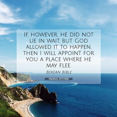 Picture 07 - Exodus 21:13 BSB - If, however, he did not lie in wait, but God - Bible Verse Picture