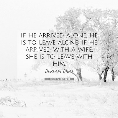 Picture 07 - Exodus 21:3 BSB - If he arrived alone, he is to leave alone; if he - Bible Verse Picture