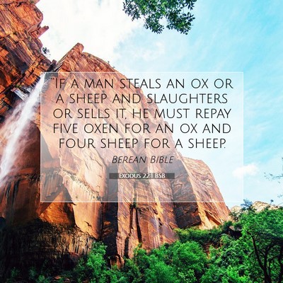 Picture 07 - Exodus 22:1 BSB - “If a man steals an ox or a sheep and - Bible Verse Picture