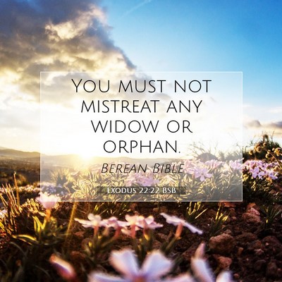 Picture 07 - Exodus 22:22 BSB - You must not mistreat any widow or - Bible Verse Picture