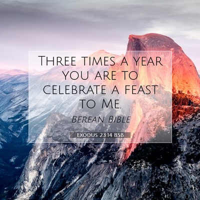 Picture 07 - Exodus 23:14 BSB - Three times a year you are to celebrate a feast - Bible Verse Picture