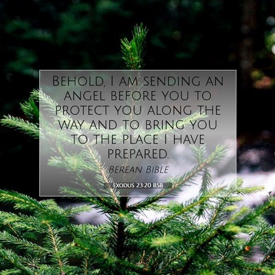 Picture 07 - Exodus 23:20 BSB - Behold, I am sending an angel before you to - Bible Verse Picture