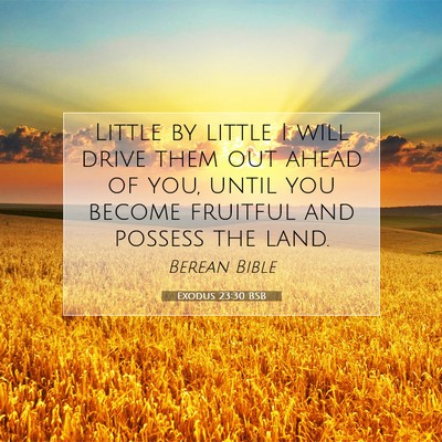 Picture 07 - Exodus 23:30 BSB - Little by little I will drive them out ahead of - Bible Verse Picture