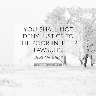 Picture 07 - Exodus 23:6 BSB - You shall not deny justice to the poor in their - Bible Verse Picture