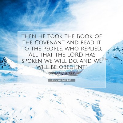Picture 07 - Exodus 24:7 BSB - Then he took the Book of the Covenant and read it - Bible Verse Picture