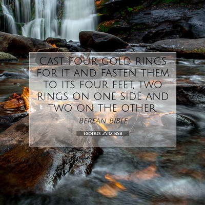 Picture 07 - Exodus 25:12 BSB - Cast four gold rings for it and fasten them to - Bible Verse Picture
