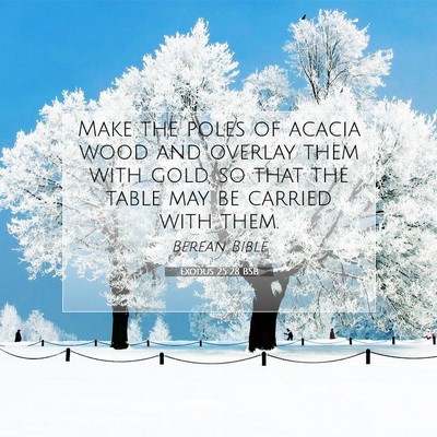 Picture 07 - Exodus 25:28 BSB - Make the poles of acacia wood and overlay them - Bible Verse Picture