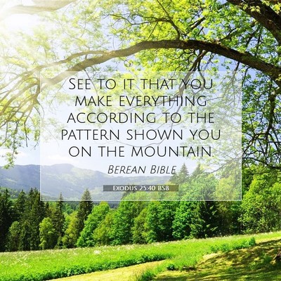 Picture 07 - Exodus 25:40 BSB - See to it that you make everything according to - Bible Verse Picture
