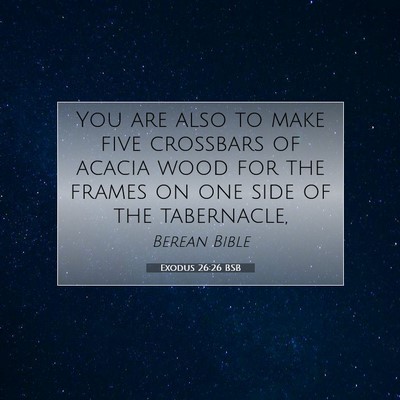 Picture 07 - Exodus 26:26 BSB - You are also to make five crossbars of acacia - Bible Verse Picture
