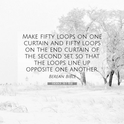 Picture 07 - Exodus 26:5 BSB - Make fifty loops on one curtain and fifty loops - Bible Verse Picture