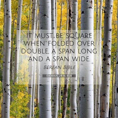Picture 07 - Exodus 28:16 BSB - It must be square when folded over double, a span - Bible Verse Picture