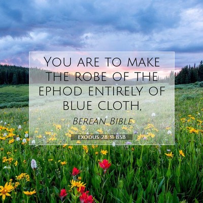 Picture 07 - Exodus 28:31 BSB - You are to make the robe of the ephod entirely of - Bible Verse Picture