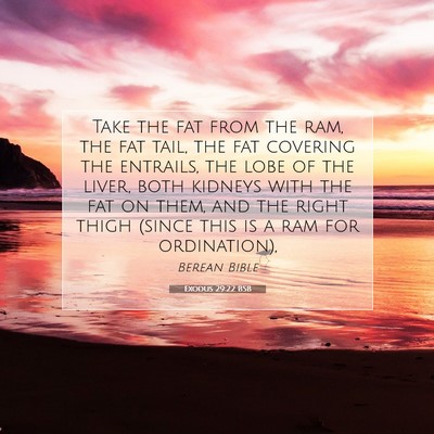 Picture 07 - Exodus 29:22 BSB - Take the fat from the ram, the fat tail, the fat - Bible Verse Picture