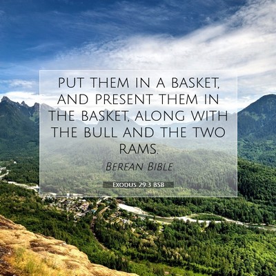Picture 07 - Exodus 29:3 BSB - put them in a basket, and present them in the - Bible Verse Picture