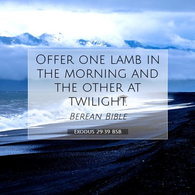Picture 07 - Exodus 29:39 BSB - Offer one lamb in the morning and the other at - Bible Verse Picture