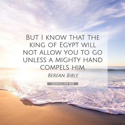 Picture 07 - Exodus 3:19 BSB - But I know that the king of Egypt will not allow - Bible Verse Picture