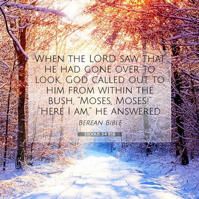 Picture 07 - Exodus 3:4 BSB - When the LORD saw that he had gone over to look, - Bible Verse Picture